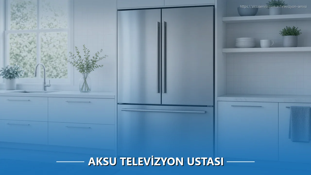 Aksu Televizyon Ustası