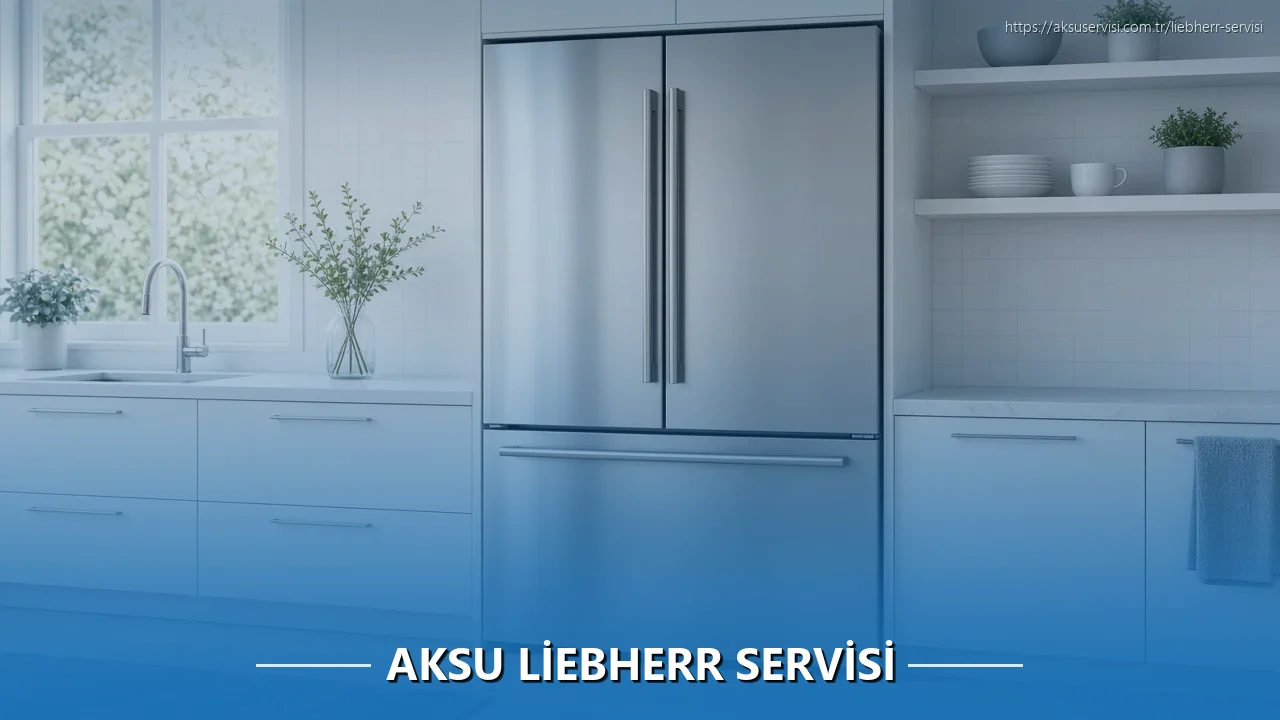 Aksu Liebherr Servisi